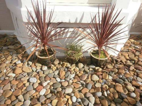 Sandsbrook Guesthouse