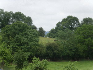 Stone Hill Farm BandB