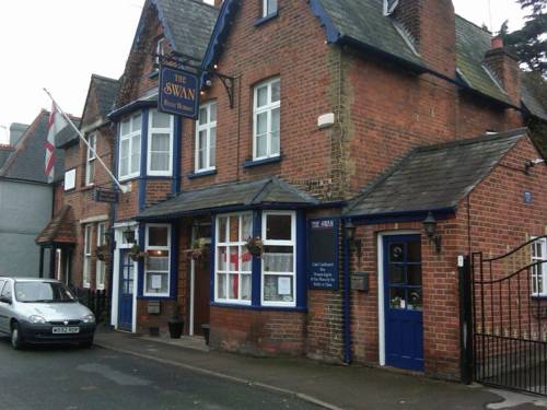 The Swan