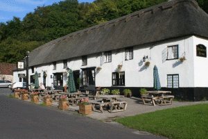 Hambro Arms