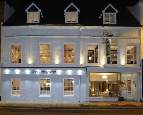 Lion and Pheasant Hotel