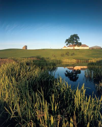 Forrester Park Resort