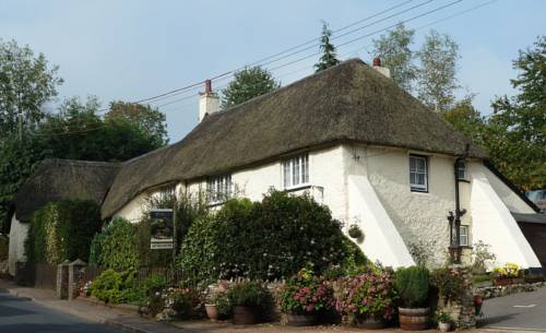 Wellington Farm Guesthouse and Tea Room