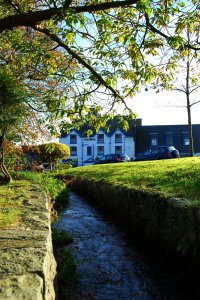 The Lion Hotel