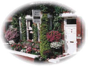 Acer Guest House