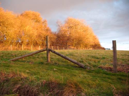 Shaws Farm