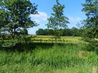 Ham House BandB
