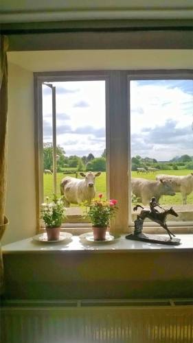 Battens Farm Cottages BandB