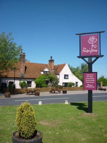 Peldon Rose