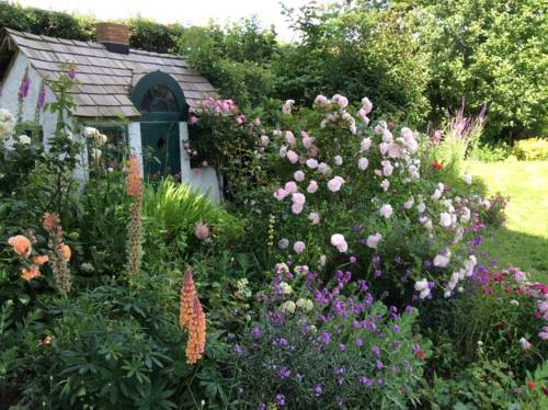 Meadow Thatch