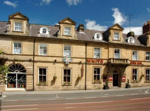 The White Swan