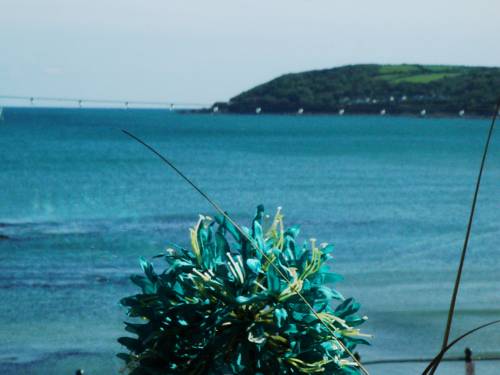 Shoreline BandB by the Sea