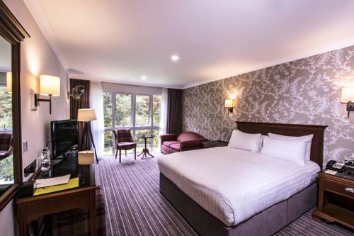 Hotel Photos