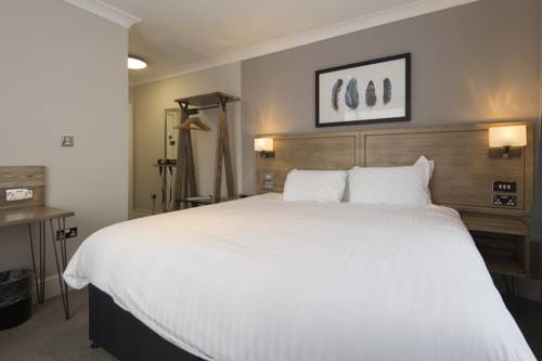 Hotel Photos