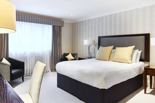 Hotel Photos