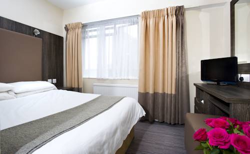 Hotel Photos