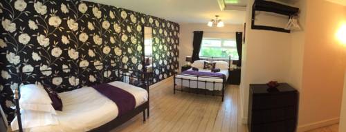 Hotel Photos