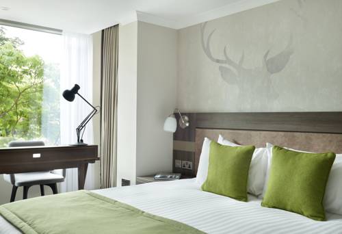 Hotel Photos