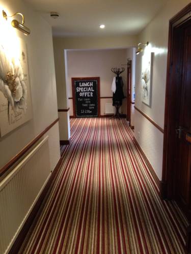 Hotel Photos