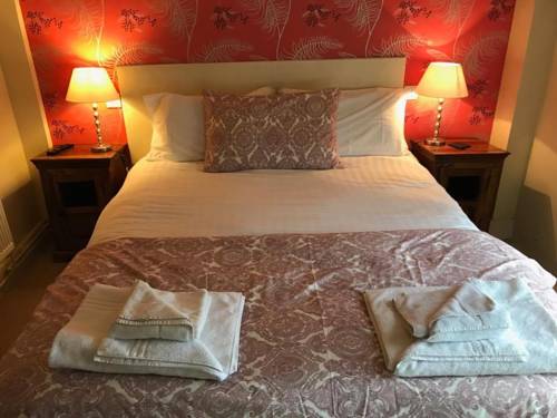 Hotel Photos