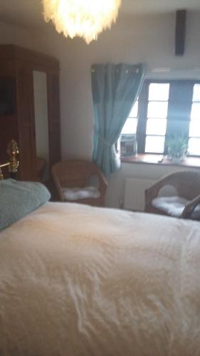 Hotel Photos