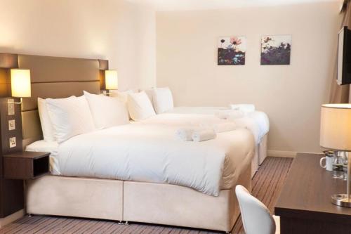Hotel Photos