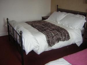 Hotel Photos
