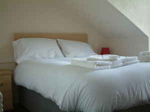 Hotel Photos